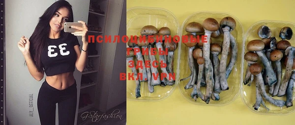 бошки Белоозёрский