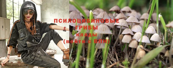 бошки Белоозёрский
